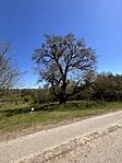 IMG_2973