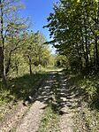 IMG_3019