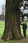 IMG_20260403_123521