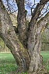 IMG_20260402_164646