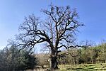 IMG_20260402_090901