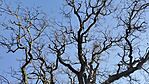 IMG_20260402_091644