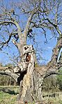 IMG_20260402_091845
