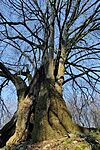 IMG_20260401_175031