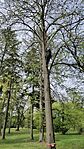IMG_20260411_104137