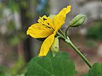 IMG_20260331_151257