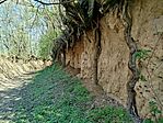 IMG_20260404_110215