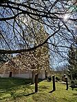 IMG_20260404_111641
