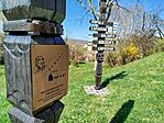 IMG_20260404_111815