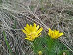 IMG_20260401_173339