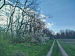 IMG_20260401_174157