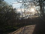 IMG_20260401_175709