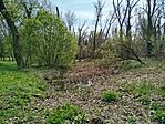 IMG_20260403_104237