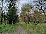 IMG_20260403_103552
