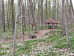 IMG_20260404_062535