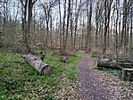 IMG_20260404_062517