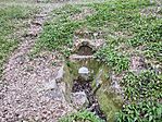 IMG_20260404_062635