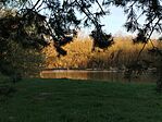 IMG_20260403_184217