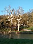 IMG_20260403_182551
