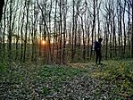 IMG_20260404_064840