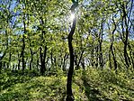 IMG_20260408_154922