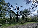 IMG_20260408_160043