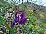 IMG_20260411_124328