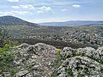 IMG_20260411_131225