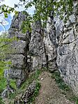 IMG_20260411_123634