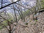 IMG_20260411_124216
