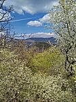 IMG_20260411_131452