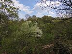 IMG_20260411_130747