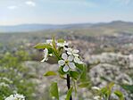 IMG_20260411_131158