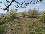 IMG_20260411_131141