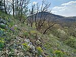 IMG_20260411_124316