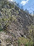 IMG_20260411_140616