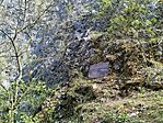 IMG_20260411_140222