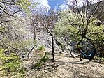 IMG_20260411_140323