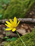 IMG_20260411_134646
