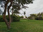 IMG_20260412_100819