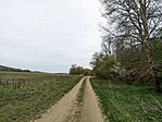 IMG_20260413_171426