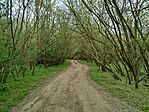 IMG_20260413_172041