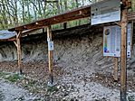 IMG_20260425_073422