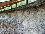 IMG_20260425_073455