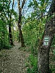 IMG_20260425_071735