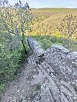 IMG_20260425_081033