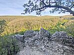 IMG_20260425_081022