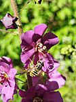 IMG_20260425_080558