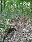 IMG_20260425_075711