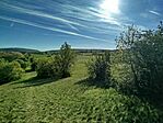 IMG_20260425_080403
